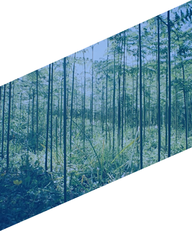 Graphic 2